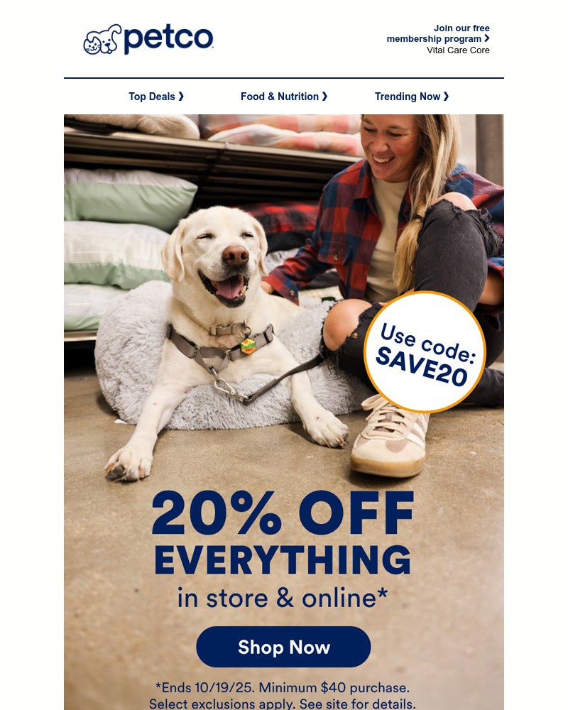 Screenshot of email with subject /media/emails/20-off-evvverything-f93465-cropped-d830e1b8.jpg