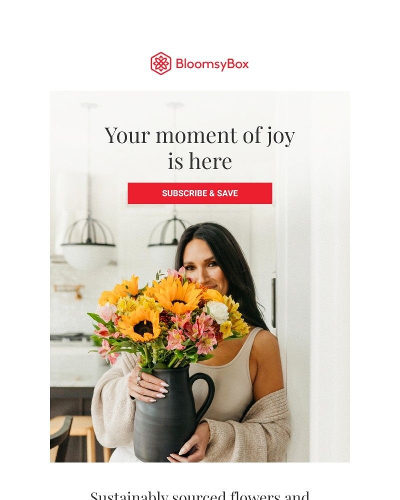 Screenshot of email with subject /media/emails/20-off-farm-fresh-flowers-just-for-you-fbeebc-cropped-30d0c370.jpg