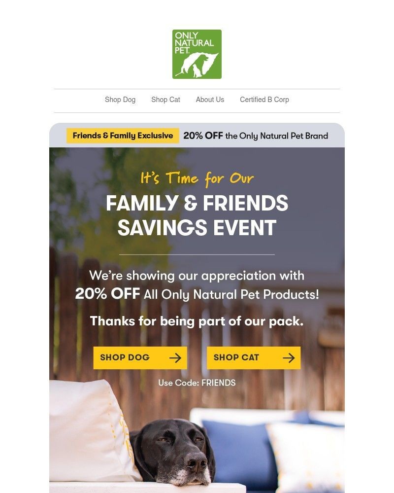 Screenshot of email with subject /media/emails/20-off-for-friends-family-9c46c0-cropped-983bda5f.jpg