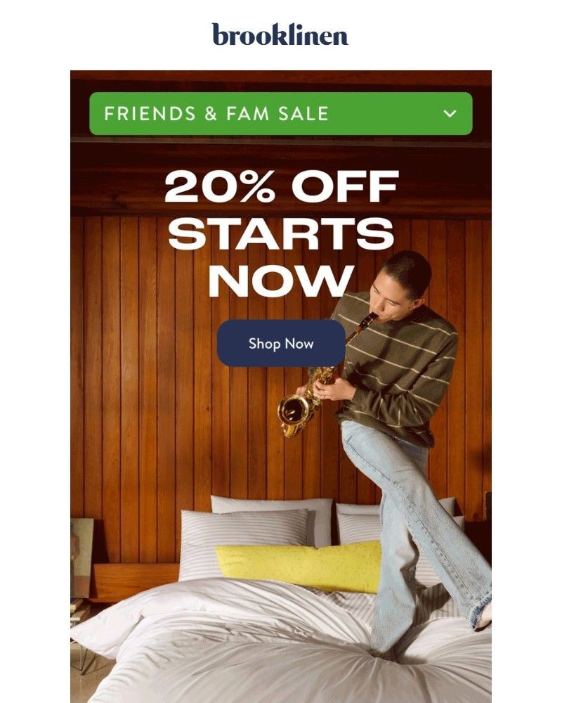Screenshot of email with subject /media/emails/20-off-friends-fam-sale-starts-now-a44dbe-cropped-1de5ef93.jpg