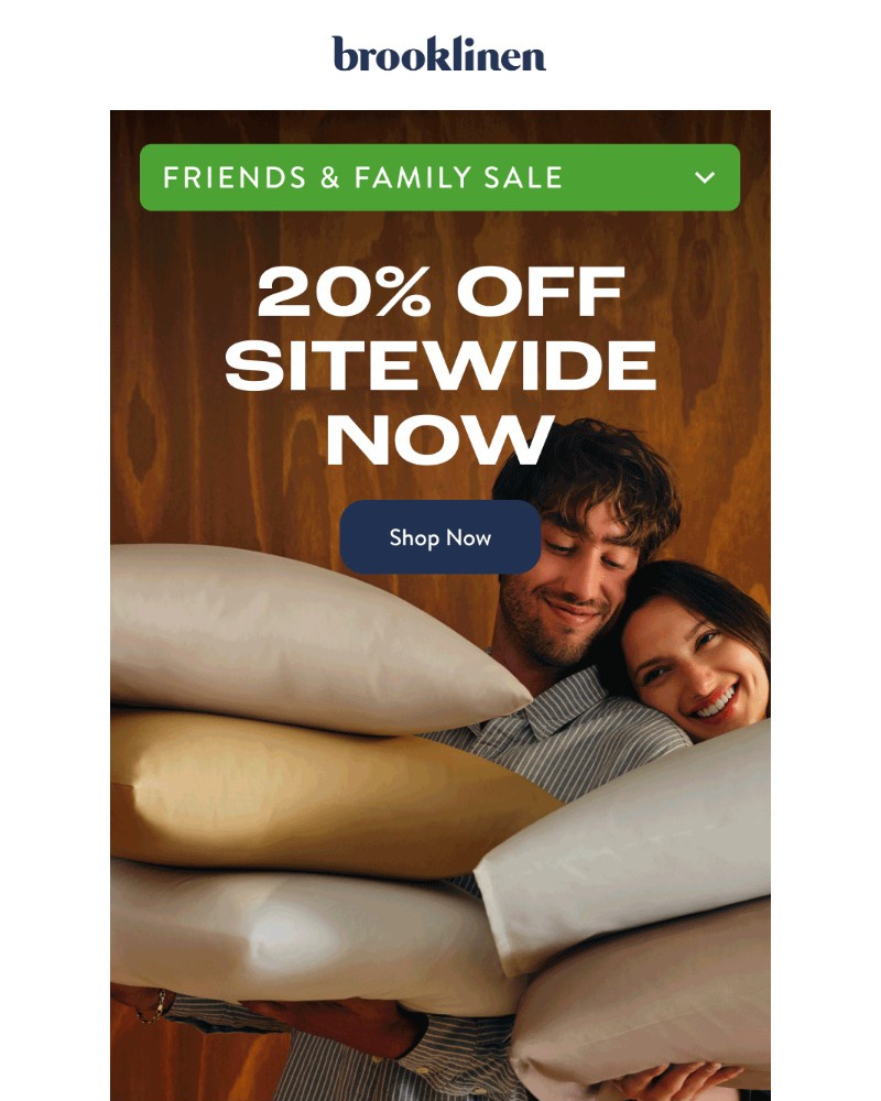 Screenshot of email with subject /media/emails/20-off-friends-family-sale-starts-now-d35f60-cropped-2fe84672.jpg