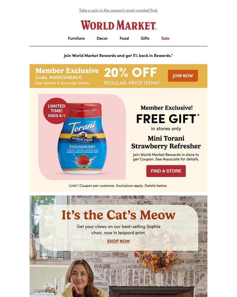 Screenshot of email sent to a World Market Cart abandoner