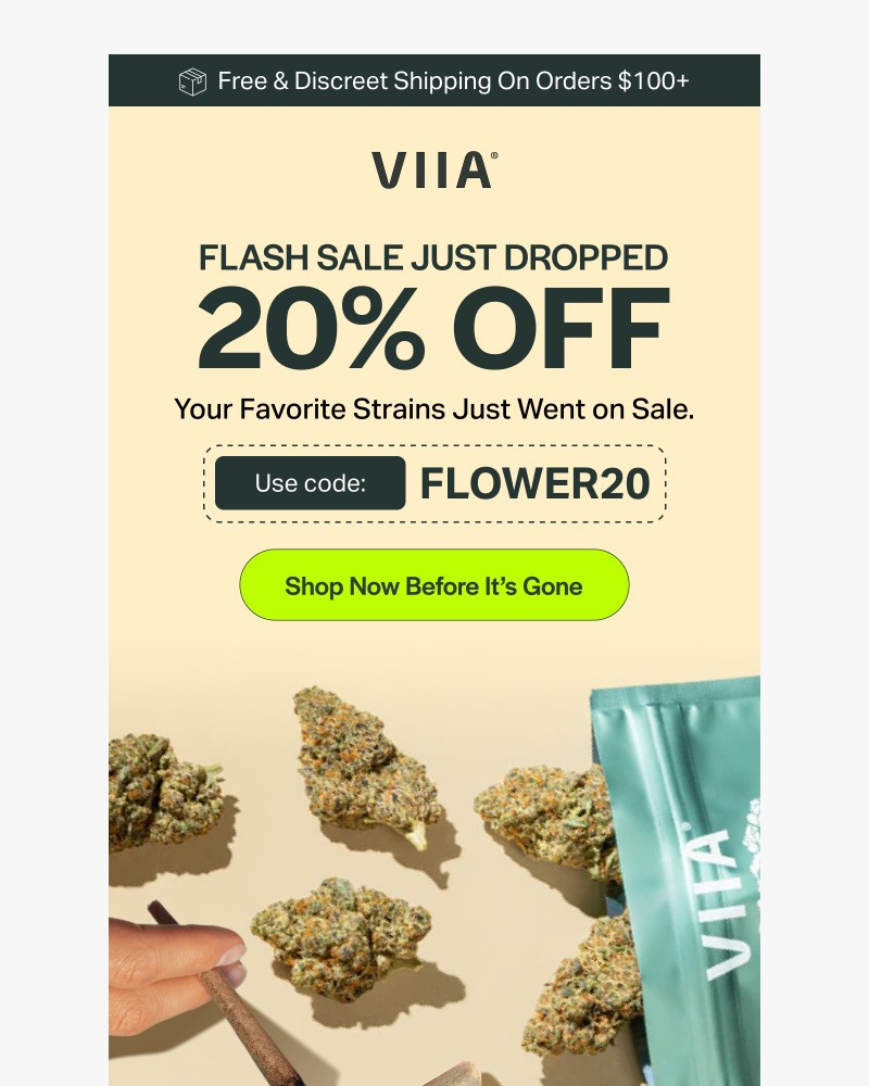 Screenshot of email with subject /media/emails/20-off-just-dropped-on-flower-pre-rolls-b86bf6-cropped-92d482c4.jpg