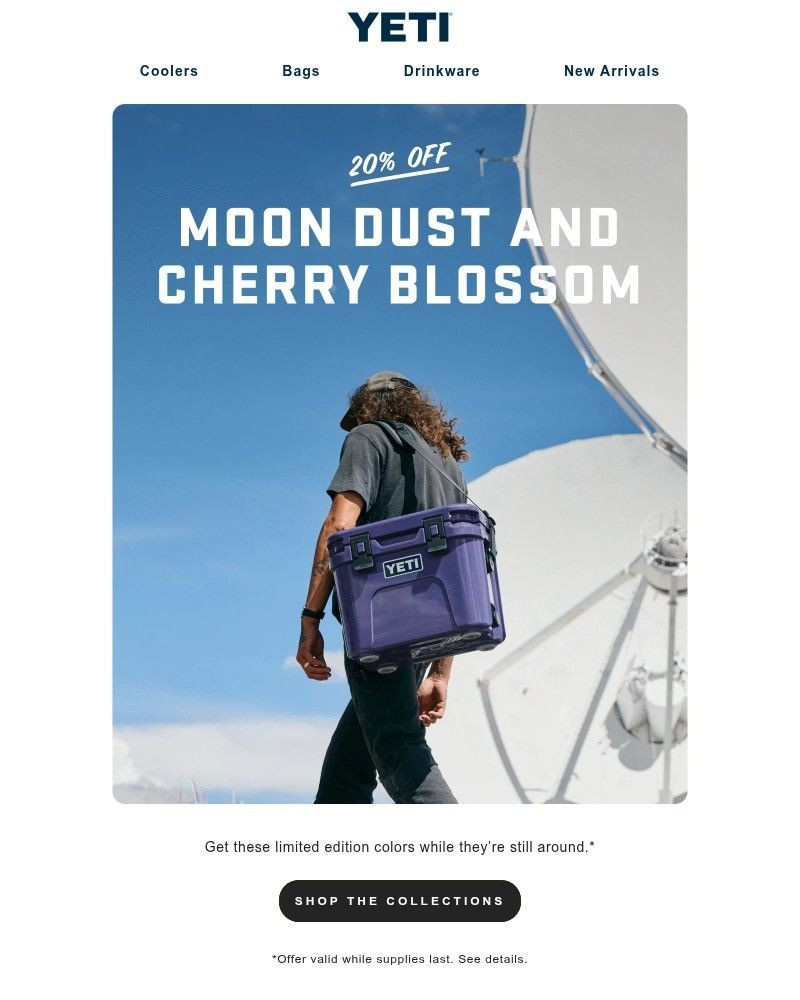 Screenshot of email with subject /media/emails/20-off-moon-dust-cherry-blossom-f1a2af-cropped-e248cda3.jpg