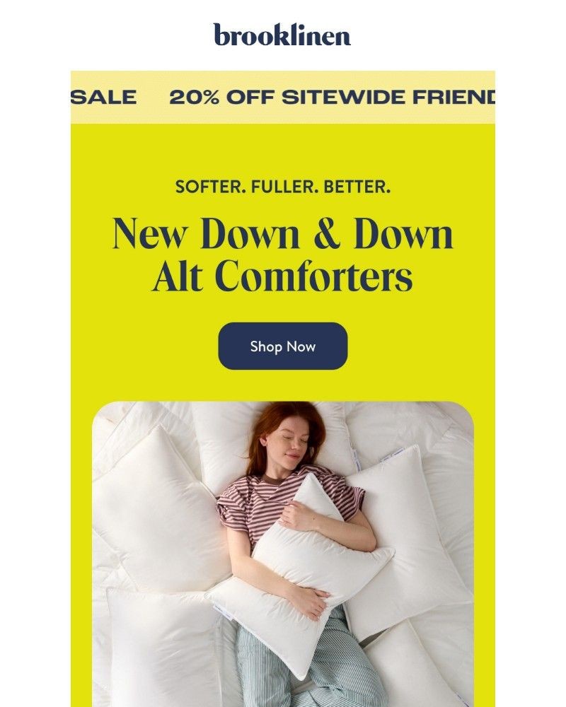 Screenshot of email with subject /media/emails/20-off-new-next-level-comforters-da4ada-cropped-be3869db.jpg