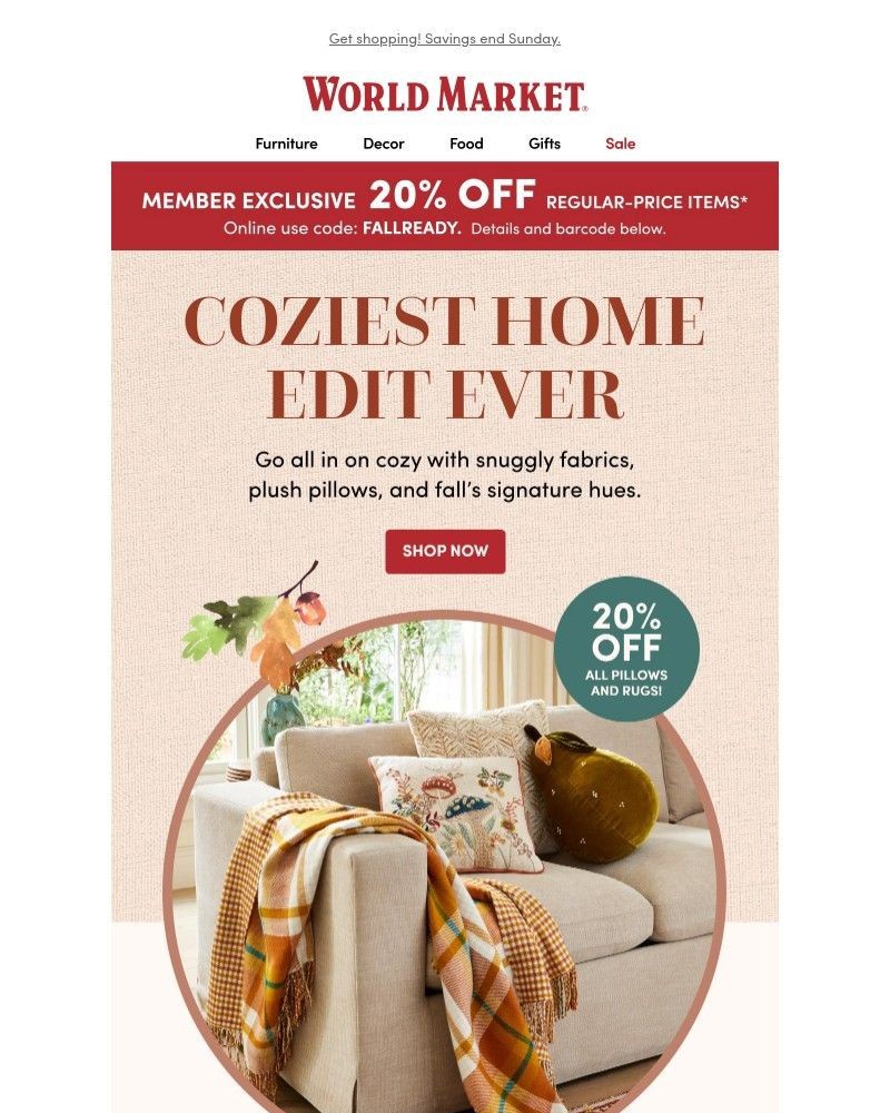 Screenshot of email with subject /media/emails/20-off-our-cozy-home-edit-is-here-06c315-cropped-f18eb900.jpg