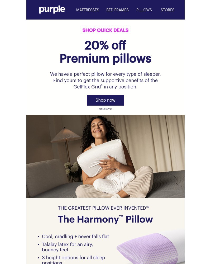 Screenshot of email with subject /media/emails/20-off-pillows-not-something-to-miss-cc74d9-cropped-93331237.jpg