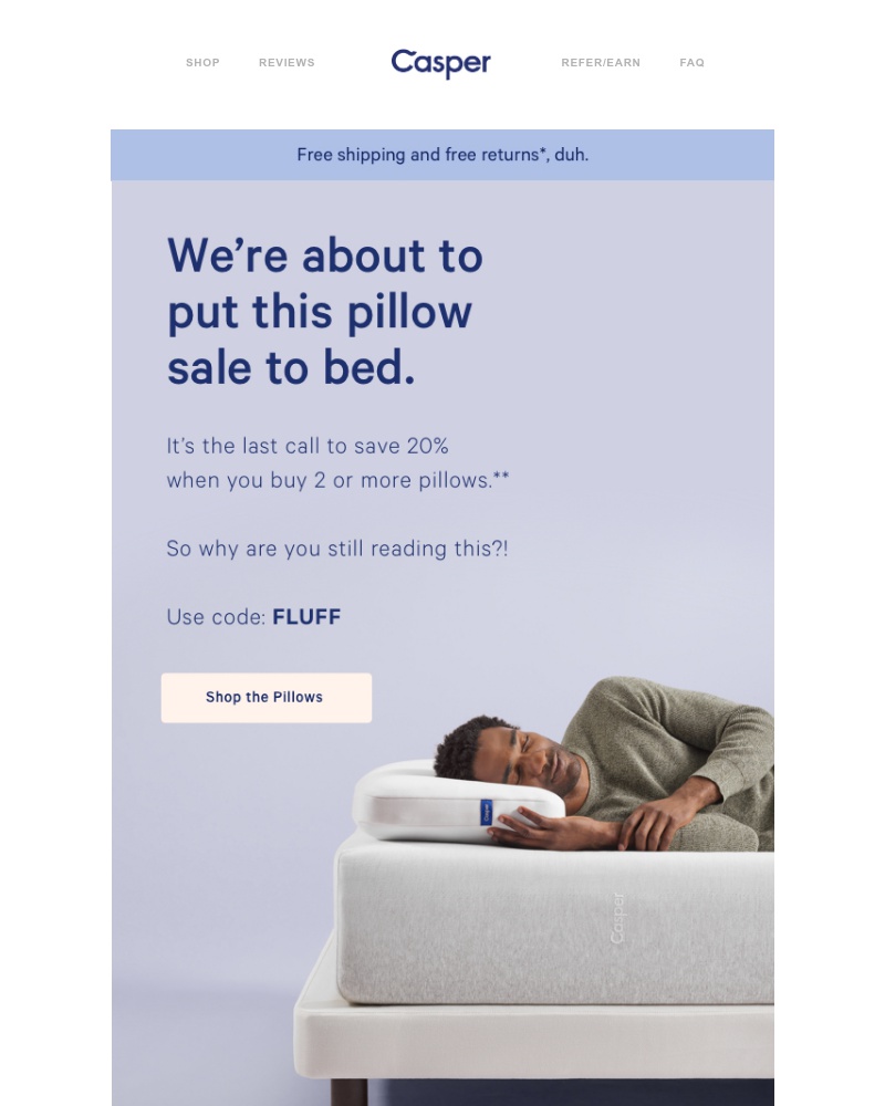 Screenshot of email with subject /media/emails/20-off-pillows-sale-ends-today-just-saying-1-cropped-cfd979f2.jpg
