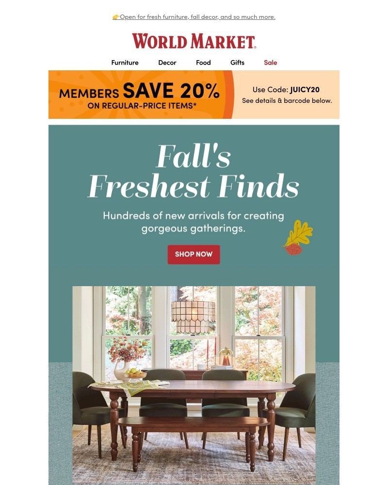 Screenshot of email with subject /media/emails/20-off-psst-includes-new-arrivals-d7c08d-cropped-b0004240.jpg