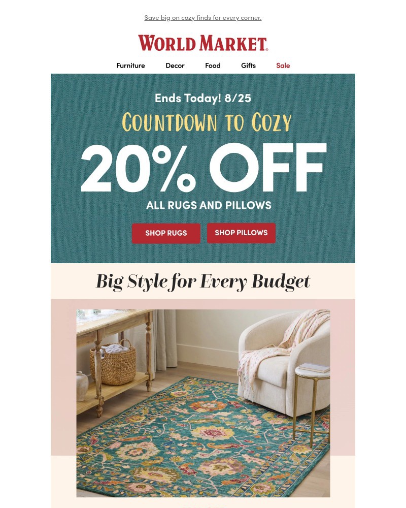 Screenshot of email with subject /media/emails/20-off-rugs-and-pillows-ends-tonight-89de86-cropped-c54e44b4.jpg