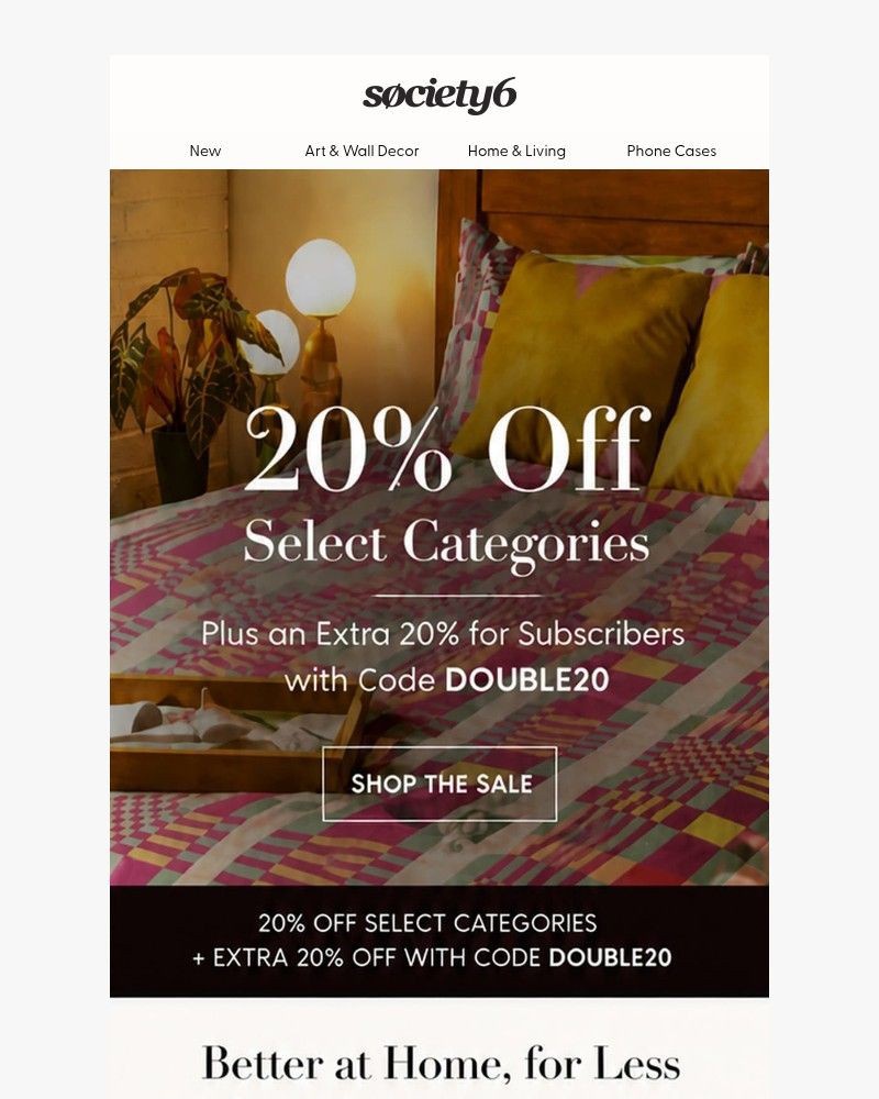 Screenshot of email sent to a Society6 Newsletter subscriber