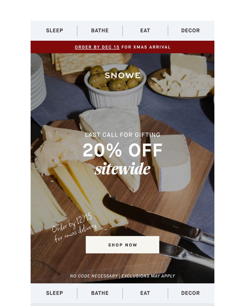 Screenshot of email sent to a Snowe Newsletter subscriber