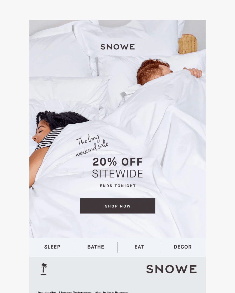 Screenshot of email sent to a Snowe Newsletter subscriber