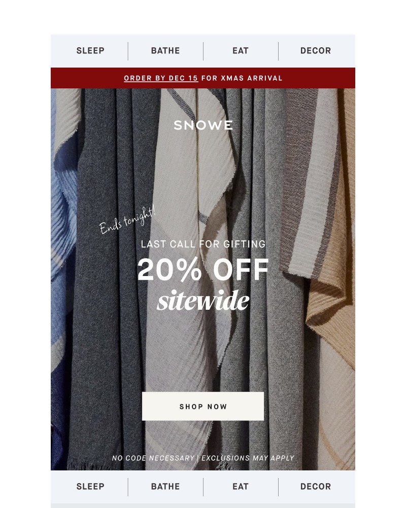 Screenshot of email sent to a Snowe Newsletter subscriber