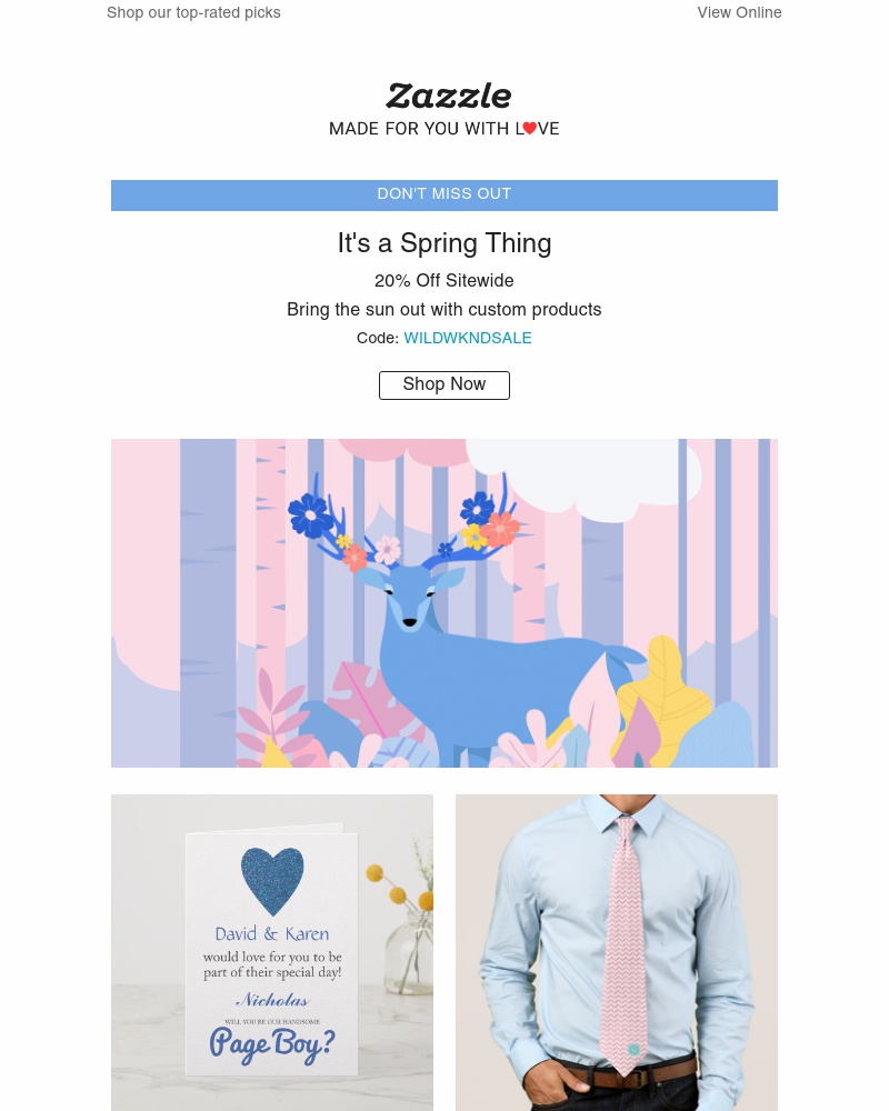 Screenshot of email with subject /media/emails/20-off-sitewide-fancy-that-cropped-2f96d6b6.jpg