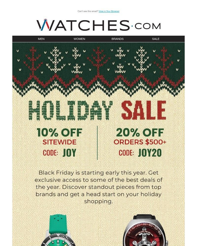 Screenshot of email sent to a Watches.com Newsletter subscriber