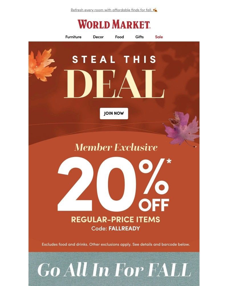 Screenshot of email with subject /media/emails/20-off-starts-now-50b971-cropped-bff0b784.jpg