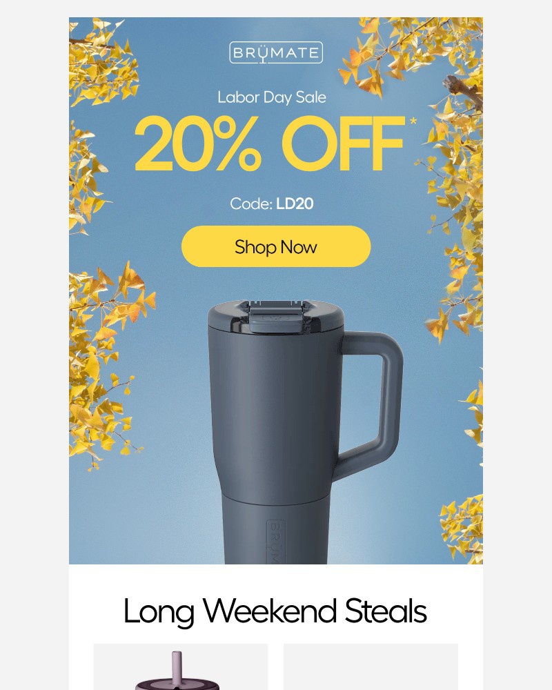 Screenshot of email with subject /media/emails/20-off-starts-now-6c59d5-cropped-d351c122.jpg