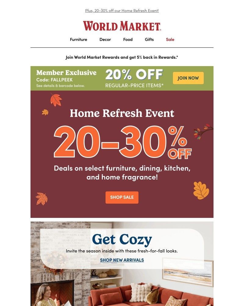 Screenshot of email with subject /media/emails/20-off-your-cozy-era-aef927-cropped-badceba8.jpg