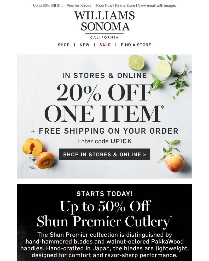 Screenshot of email with subject /media/emails/20-off-your-favorite-the-biggest-shun-sale-starts-now-1-cropped-e3529017.jpg