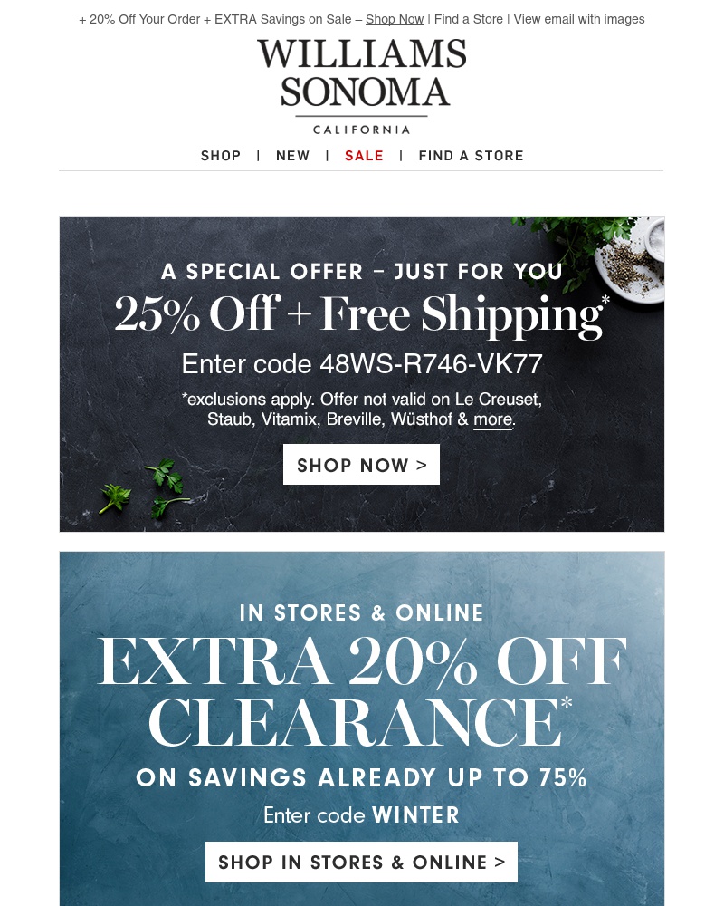 Screenshot of email with subject /media/emails/20-off-your-order-free-ship-starts-today-1-cropped-d85f66aa.jpg