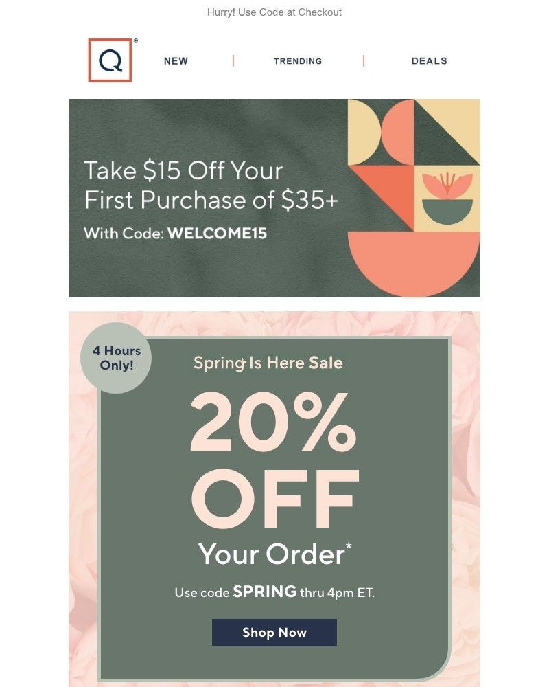 Screenshot of email with subject /media/emails/20-off-your-order-thru-4pm-et-e4b4a3-cropped-f6bb58fa.jpg