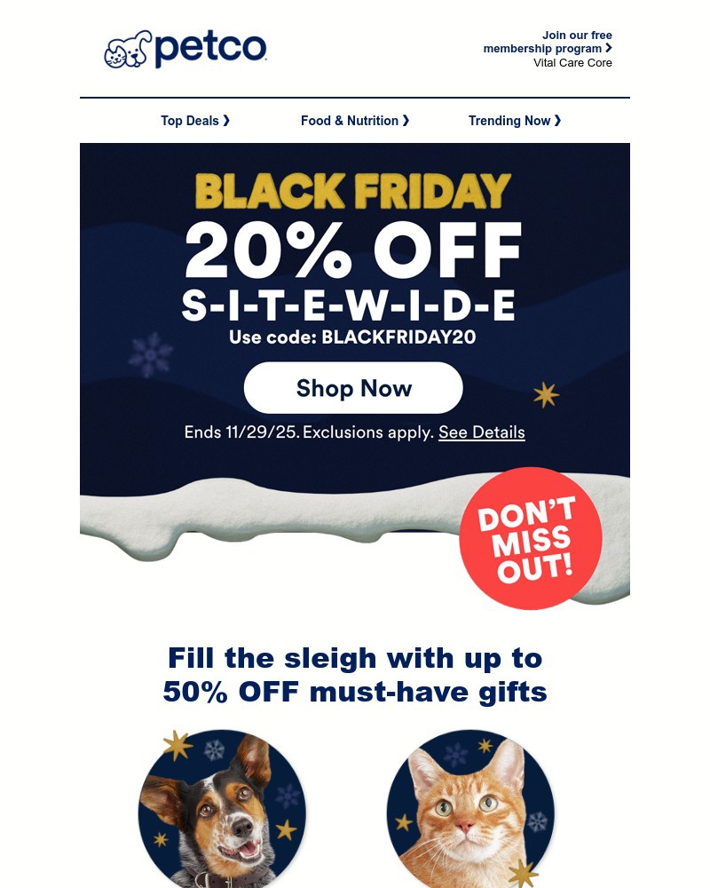 Screenshot of email with subject /media/emails/20-off-your-pets-gift-list-e70fb4-cropped-b6ca62b6.jpg