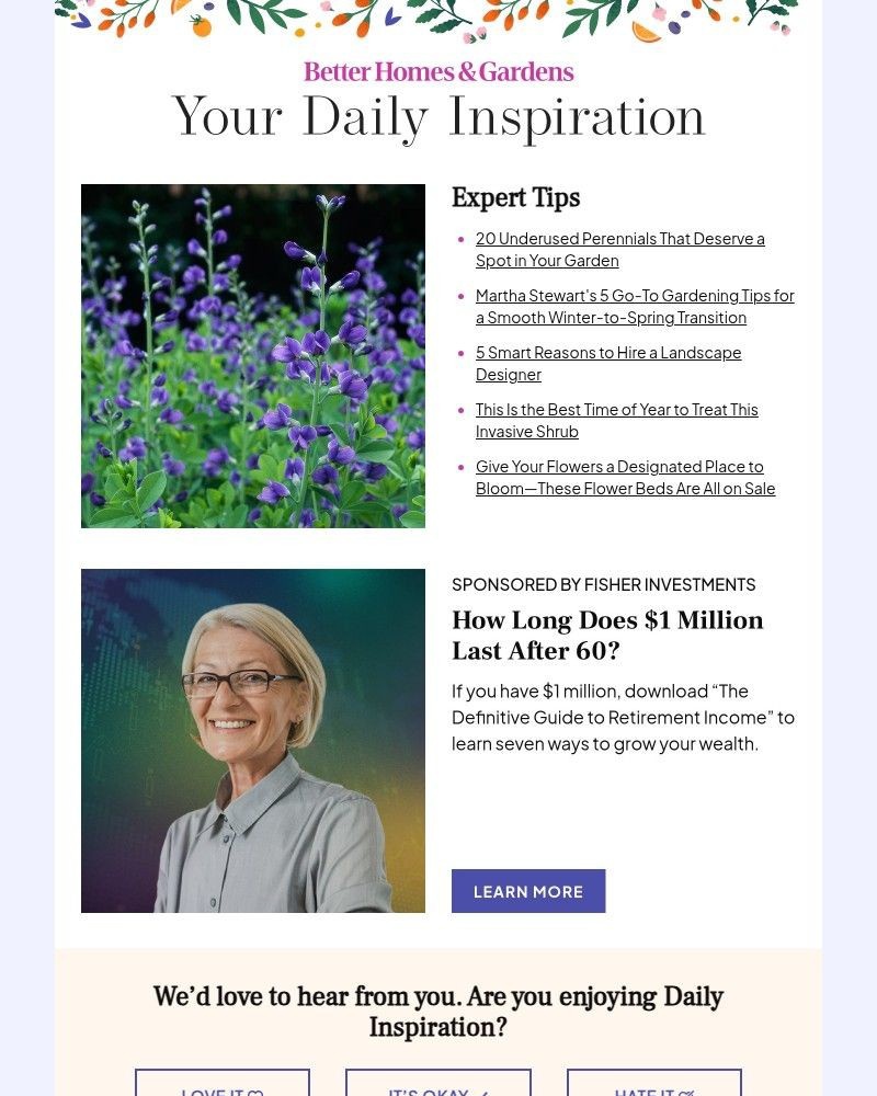 Screenshot of email with subject /media/emails/20-underused-perennials-that-deserve-a-spot-in-your-garden-9f18d5-cropped-b8af17e6.jpg