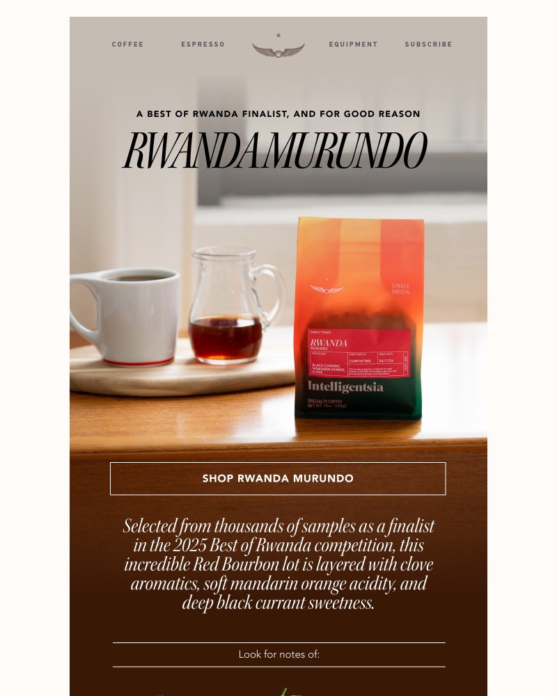 Screenshot of email with subject /media/emails/2025-best-of-rwanda-finalist-meet-murundo-2c6e52-cropped-0ad3fd9a.jpg