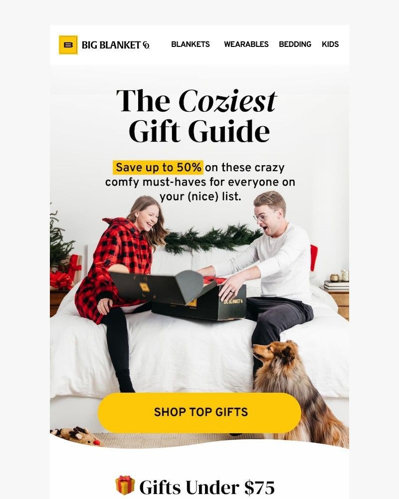 Screenshot of email with subject /media/emails/2025-holiday-gift-guide-6e1f30-cropped-050dd56b.jpg