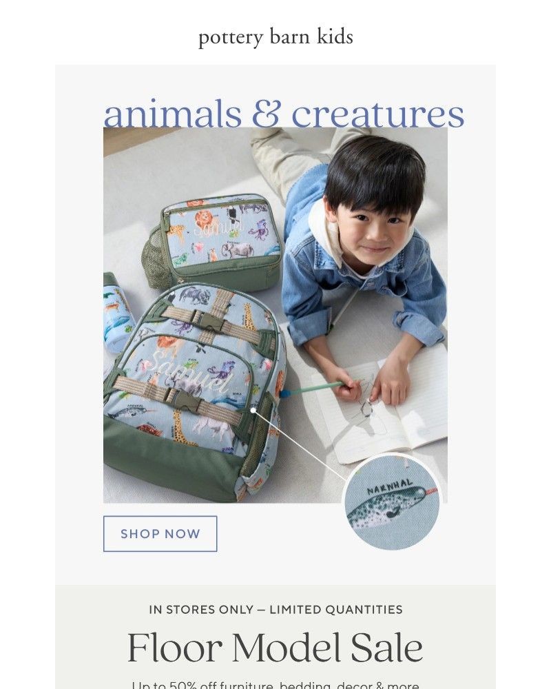 Screenshot of email with subject /media/emails/2026-backpack-trends-616ebf-cropped-8037a32c.jpg