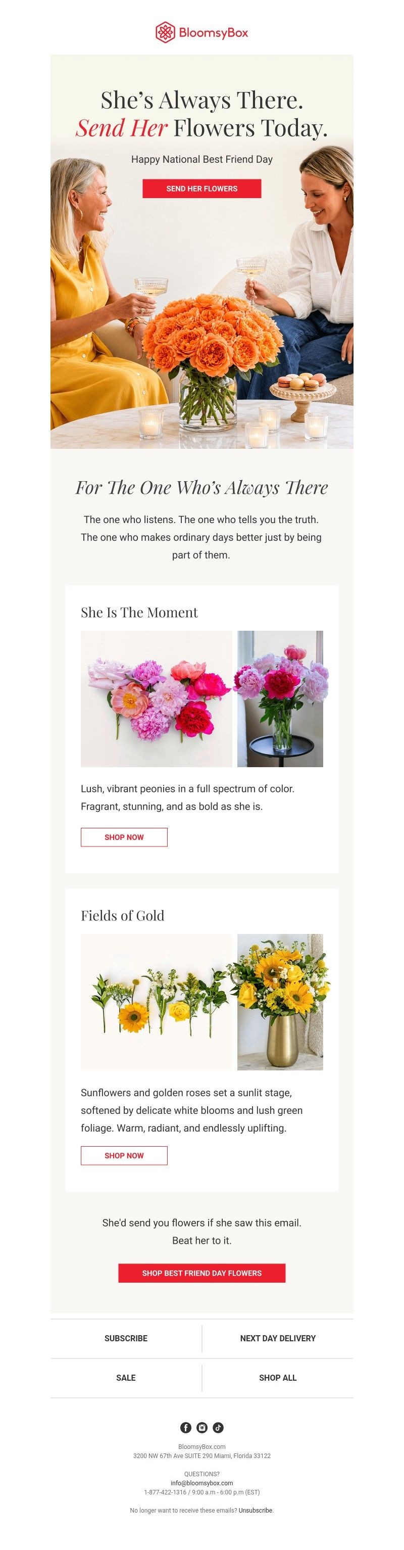 Screenshot of email with subject /media/emails/202abab9-e8fa-4604-9bb9-5add3b0f1d13.jpg