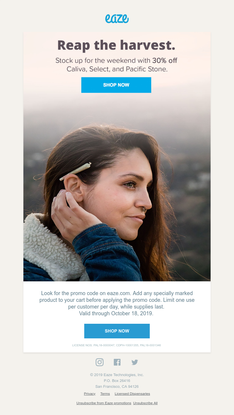 Screenshot of email with subject /media/emails/20487bb3-18f4-4396-8888-ade86aca438a.png