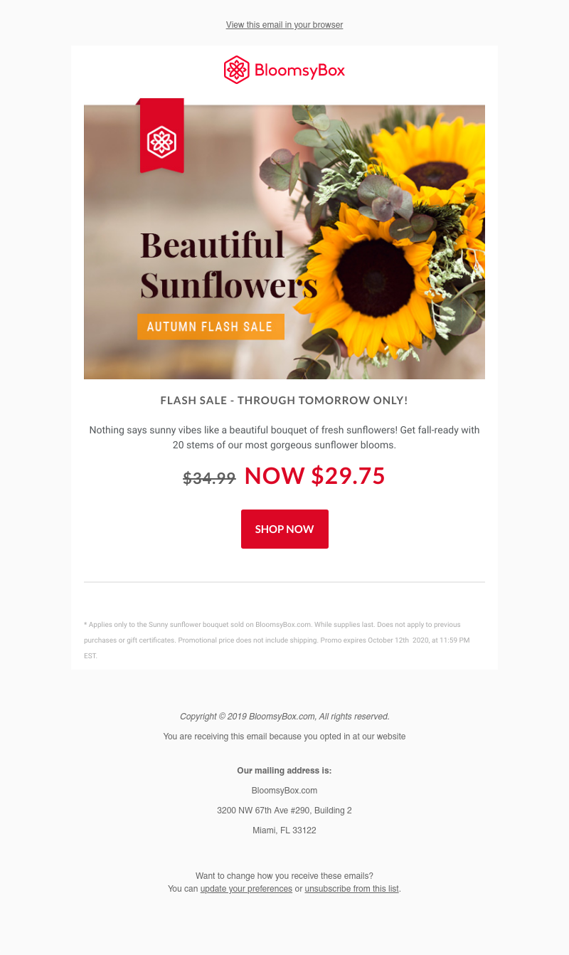 Screenshot of email with subject /media/emails/204fa1e3-fb9d-44d3-aac6-0243ee346d59.png