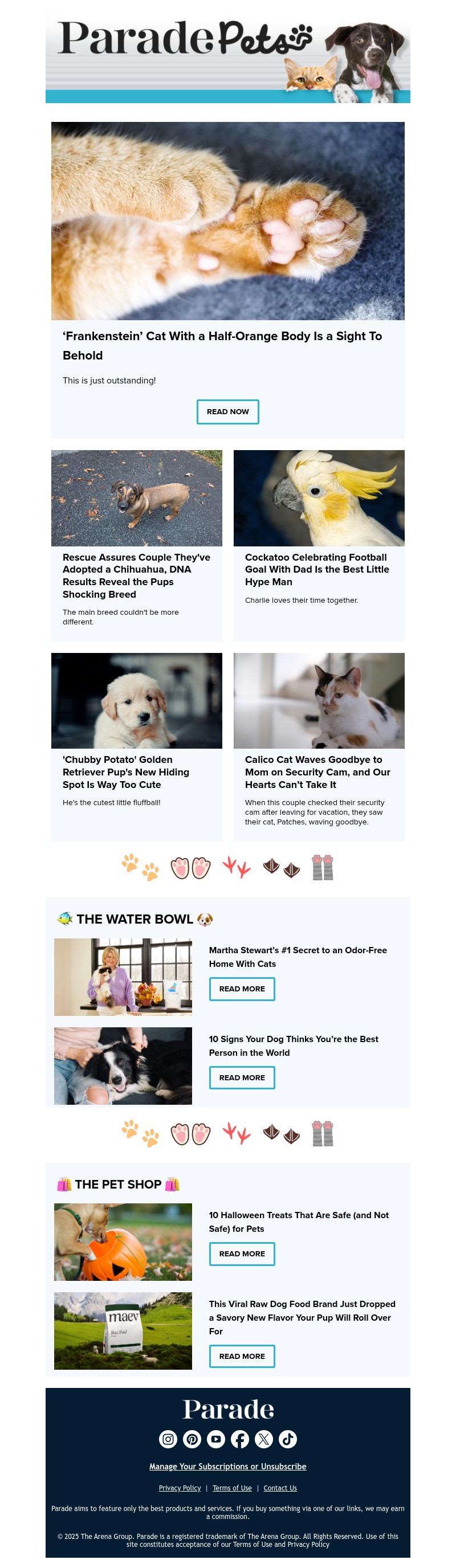 Screenshot of email with subject /media/emails/20582ad0-3df4-4525-aa84-4043b24936f3.jpg