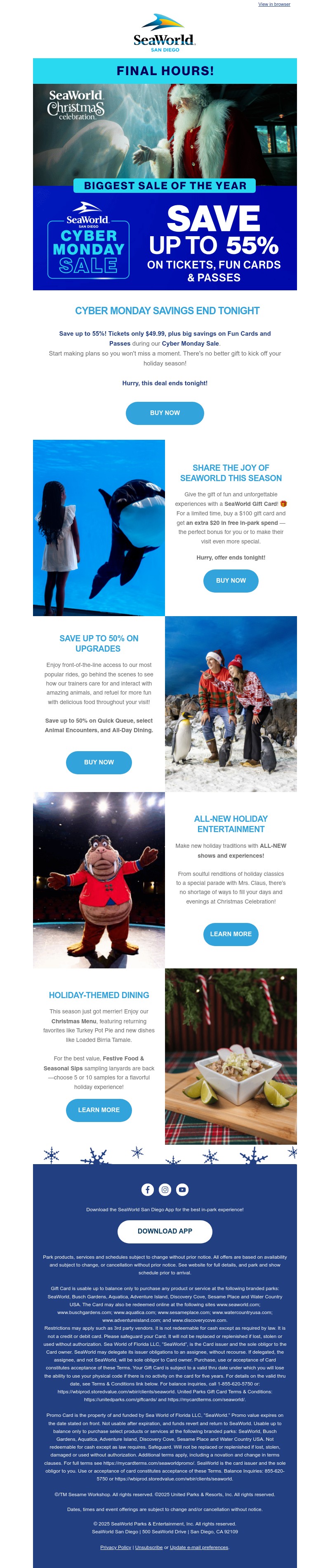 Screenshot of email with subject /media/emails/21138660-4e1d-4789-84ea-62bc1f414de1.jpg