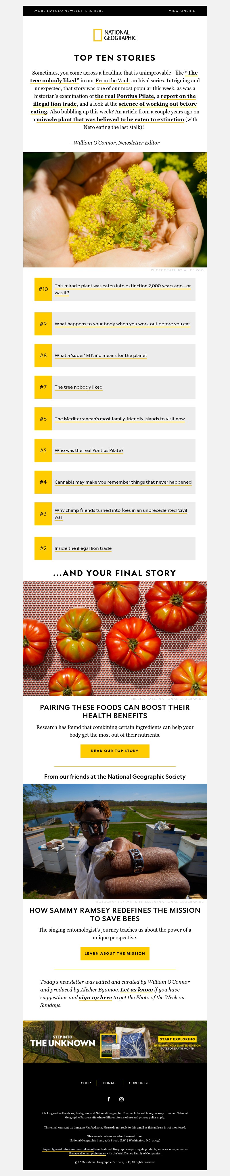 Screenshot of email with subject /media/emails/214ea82a-ecee-4623-a406-723084f1d569.jpg