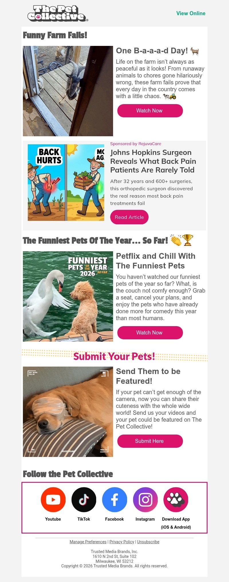 Screenshot of email with subject /media/emails/216fc20d-175d-4662-a5ee-fe5754100949.jpg