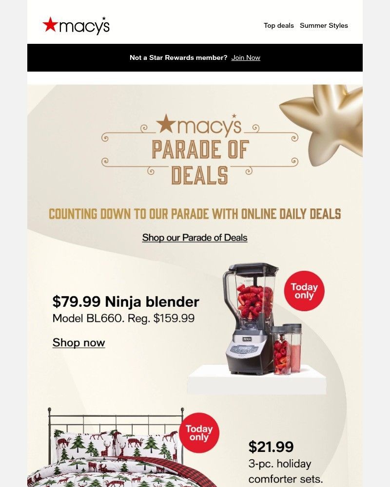 Screenshot of email with subject /media/emails/2199-comforter-set-ninja-at-7999-pro-hosting-e9049b-cropped-da7fac4c.jpg