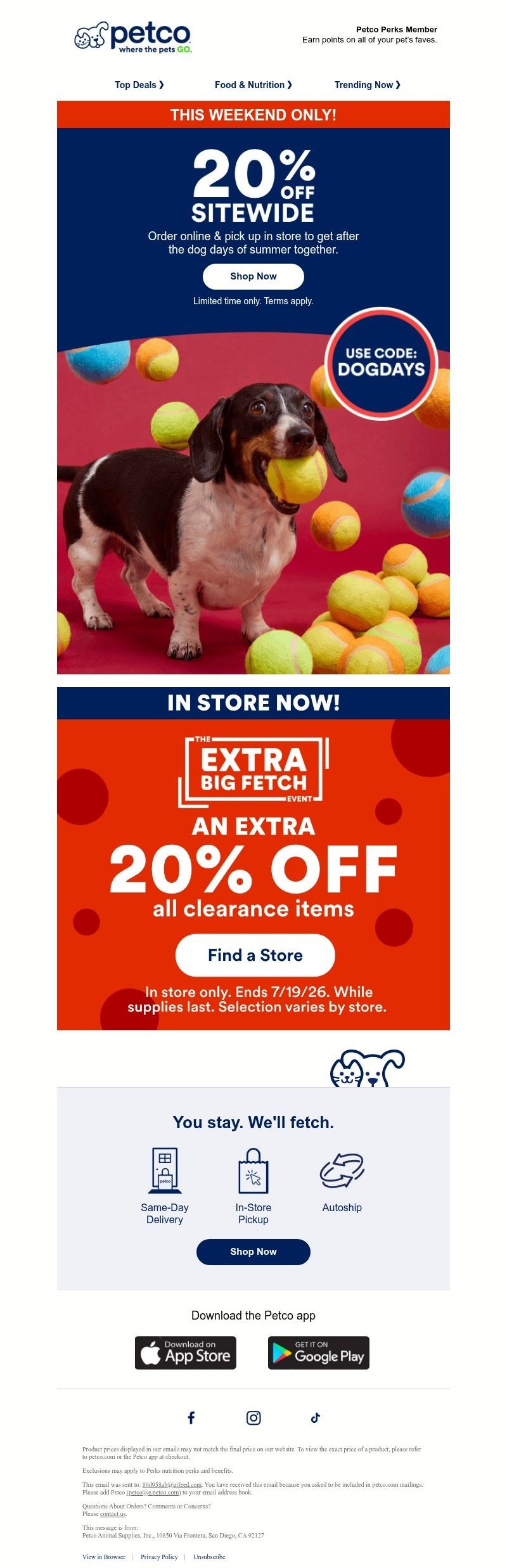 Screenshot of email with subject /media/emails/219b181c-f59d-4f98-a04b-1aebb9c0a5ea.jpg