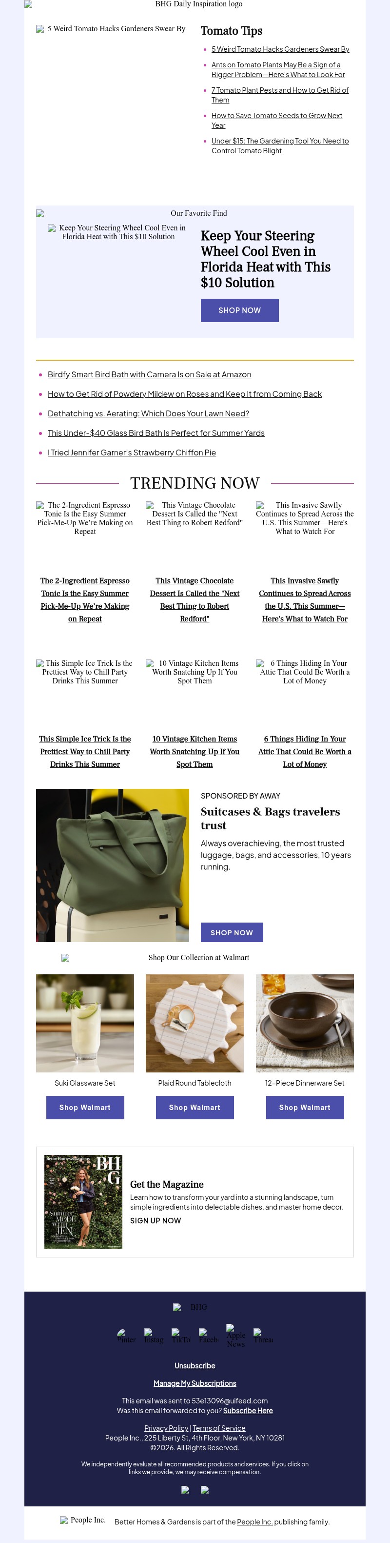 Screenshot of email with subject /media/emails/2288f669-fc39-43ee-92b6-363570ee3748.jpg