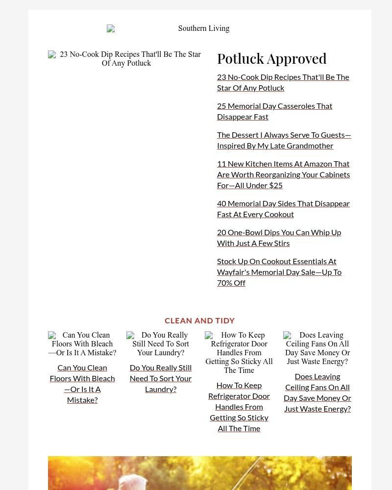 Screenshot of email with subject /media/emails/23-no-cook-dip-recipes-thatll-be-the-star-of-any-potluck-68a5c5-cropped-79109dc3.jpg