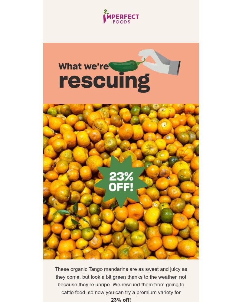 Screenshot of email with subject /media/emails/23-off-organic-mandarins-whats-new-this-week-8b5921-cropped-3562ebc7.jpg