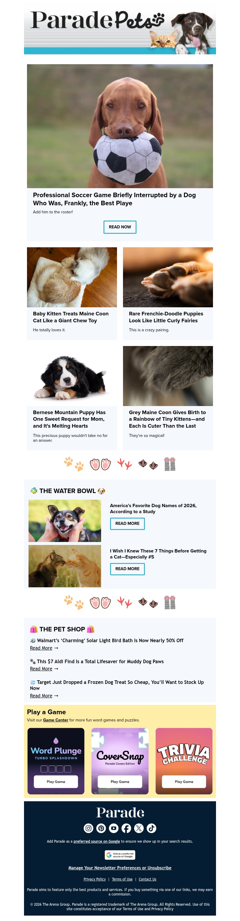 Screenshot of email with subject /media/emails/2301d8b1-9986-4258-ae05-816e564fc8d2.jpg