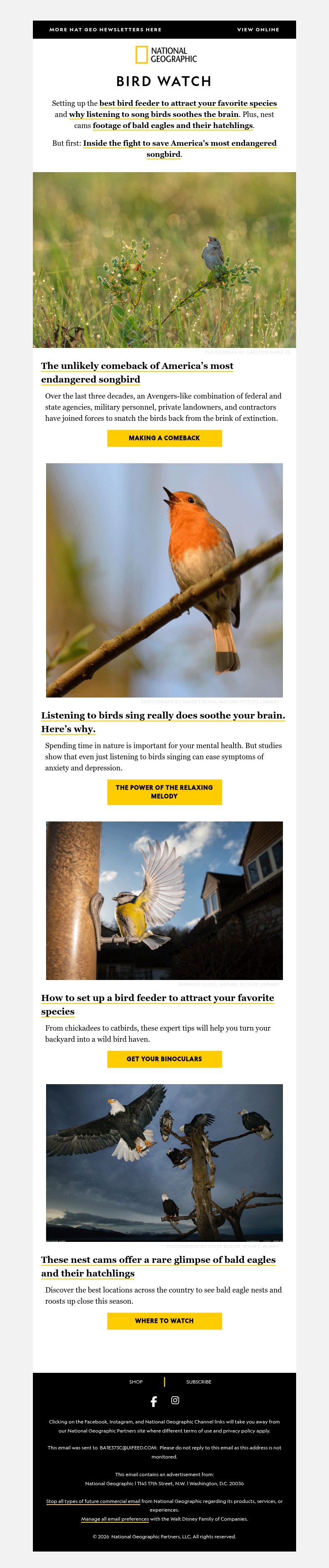 Screenshot of email with subject /media/emails/231446b5-83a5-4264-b452-8c5182167ab2.jpg