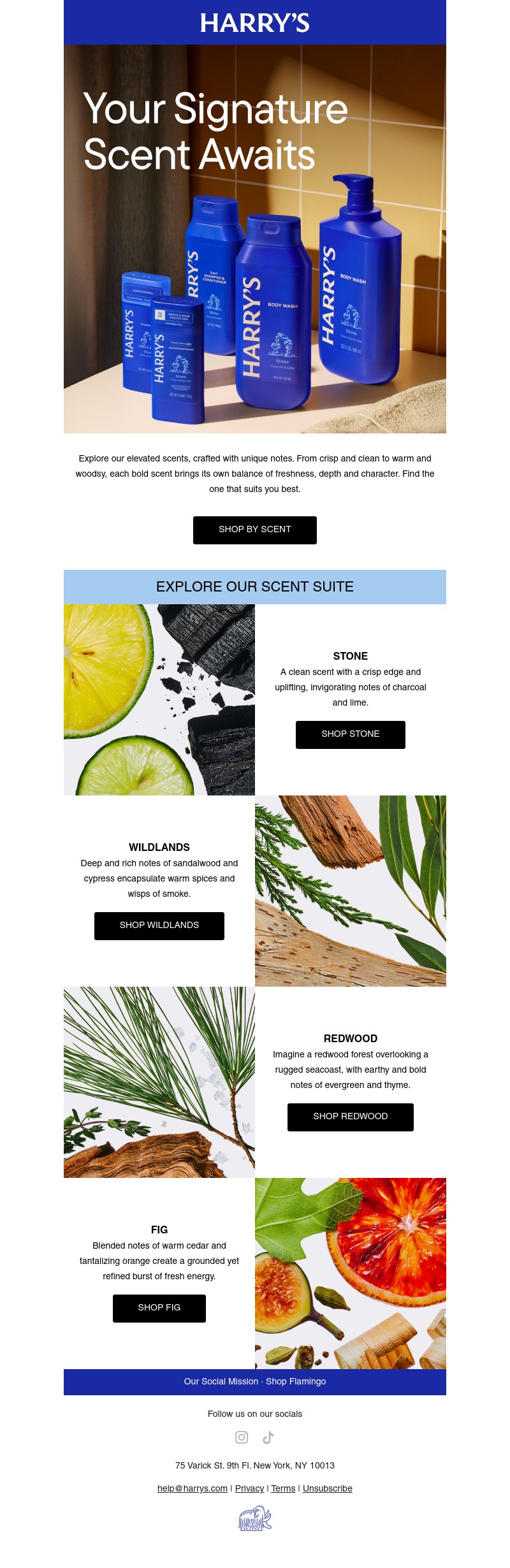 Screenshot of email with subject /media/emails/234a1d30-5548-4641-ad47-224e8ee45792.jpg