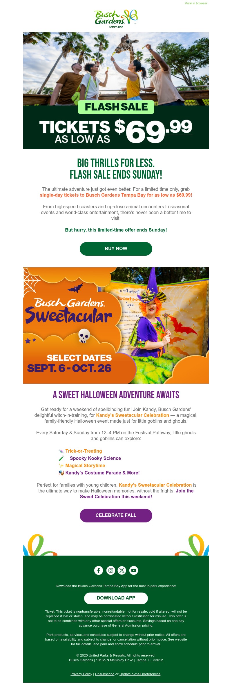Screenshot of email with subject /media/emails/23b3ce25-dc87-42b0-afdc-c6ce225c9209.jpg