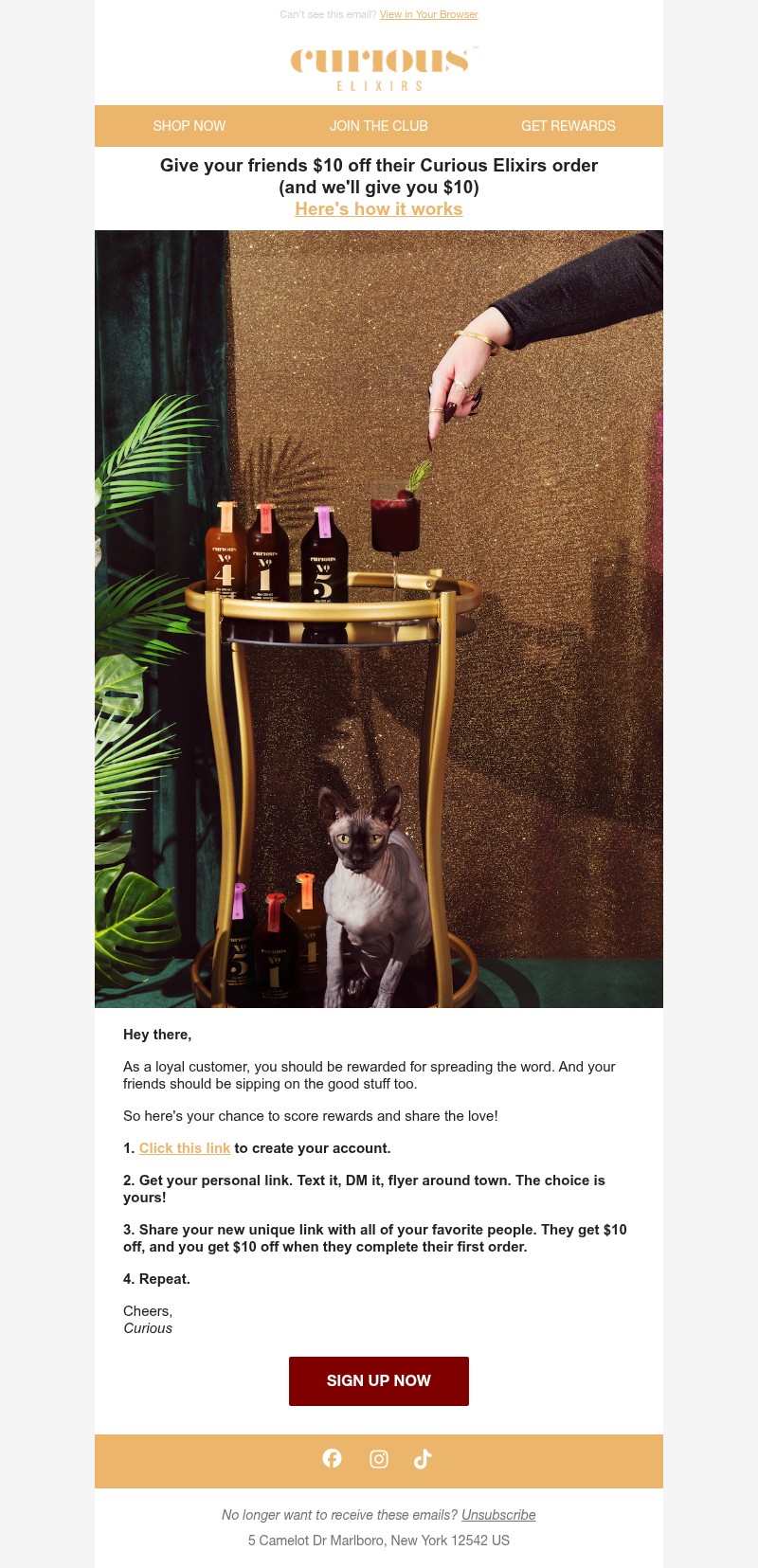 Screenshot of email with subject /media/emails/23d5ed13-a550-4a7d-aed8-5bb71ed337d1.jpg