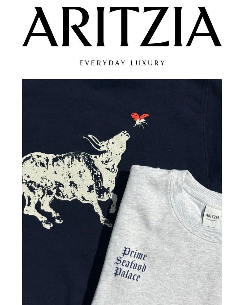 Screenshot of email sent to a Aritzia Newsletter subscriber