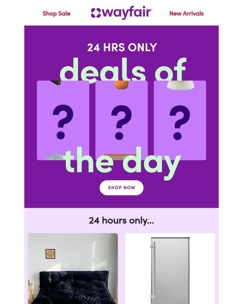 Screenshot of email with subject /media/emails/24-hour-only-deals-62ef78-cropped-4e718ee8.jpg
